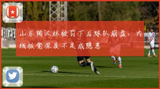 山东陶汉林被罚下后球队崩盘，内线板凳深度不足成隐患
